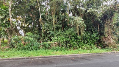 Casa em  Alexandra com amplo terreno-5