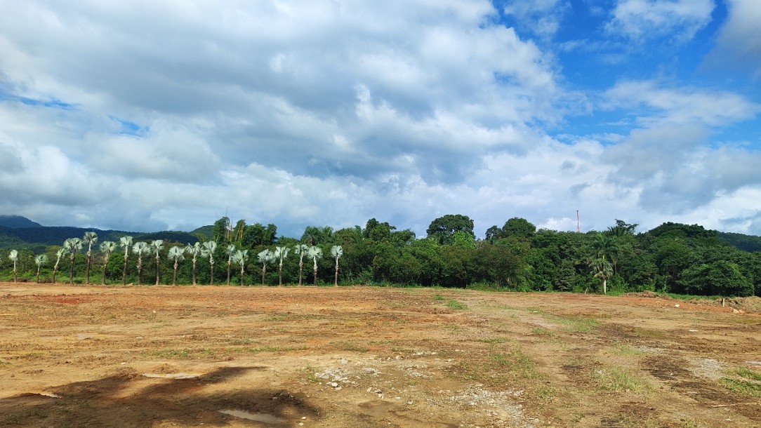 TERRENO COMERCIAL BR-277, KM-24 (MORRETES)-1